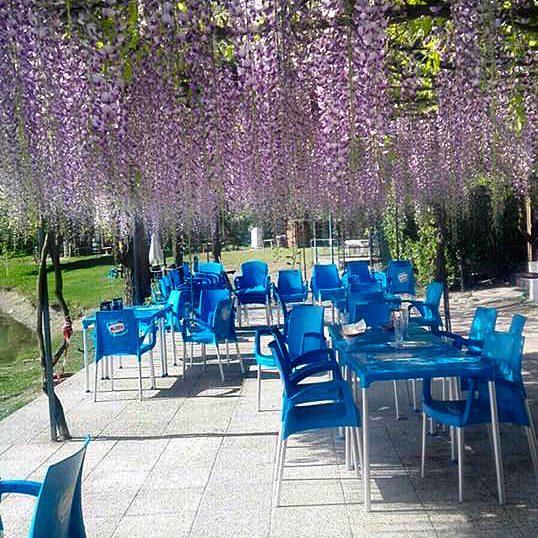 oasi lago dei cigni terrazza