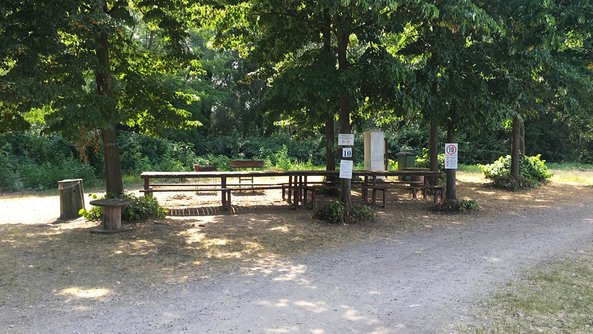 Piazzola 10