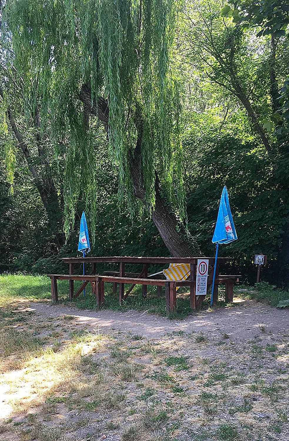 Piazzola 2